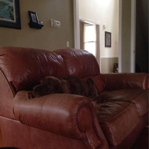 Meet your Posher, Josh